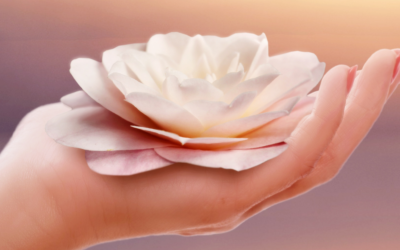 Raggiungere la felicità: I 4 benefici della meditazione