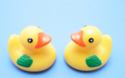 Chi si somiglia si piglia?