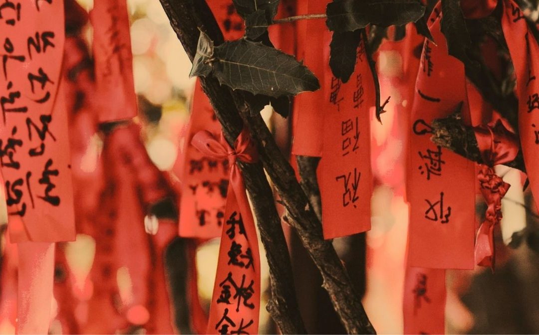 I 16 desideri di base: cosa ci motiva davvero e cosa ci rende felici